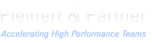 Pleinert & Partner